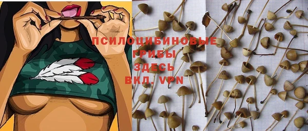 герыч Абаза