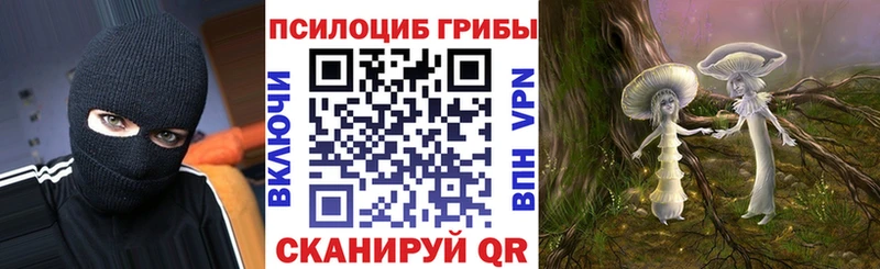 Псилоцибиновые грибы мицелий  сколько стоит  Сорск 